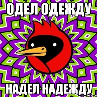 одел одежду надел надежду, Мем Омская птица