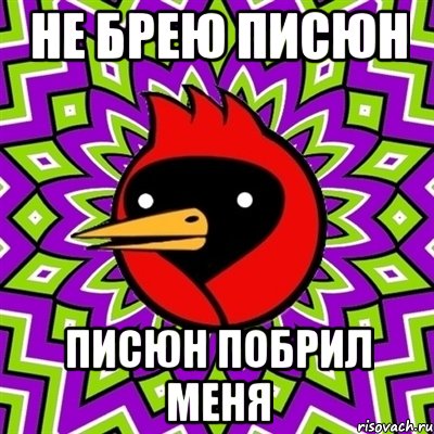 не брею писюн писюн побрил меня, Мем Омская птица