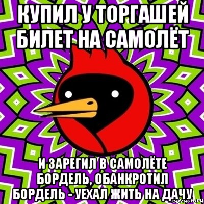 купил у торгашей билет на самолёт и зарегил в самолёте бордель, обанкротил бордель - уехал жить на дачу, Мем Омская птица