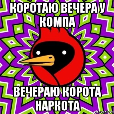 Коротаю вечера у компа Вечераю корота наркота, Мем Омская птица