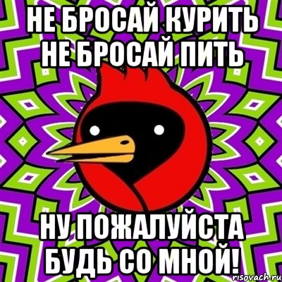 не бросай курить не бросай пить ну пожалуйста будь со мной!, Мем Омская птица