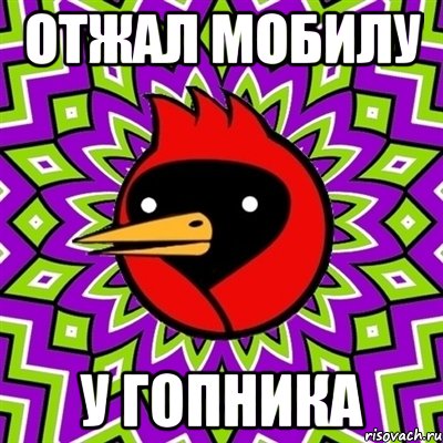 ОТЖАЛ МОБИЛУ У ГОПНИКА, Мем Омская птица