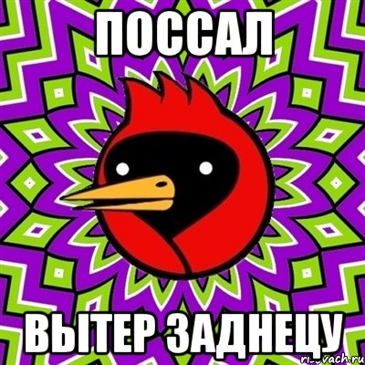 Поссал Вытер заднецу, Мем Омская птица