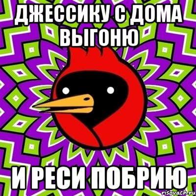 Джессику с дома выгоню и Реси побрию, Мем Омская птица