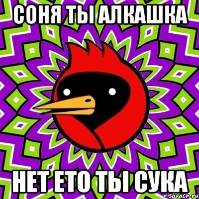 соня ты алкашка нет ето ты сука, Мем Омская птица