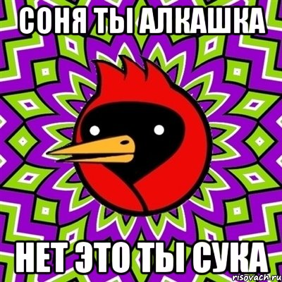 соня ты алкашка нет это ты сука, Мем Омская птица