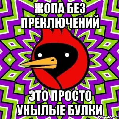 жопа без преключений это просто унылые булки, Мем Омская птица