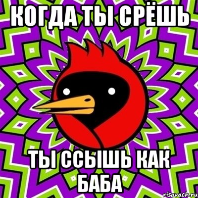 Когда ты срёшь Ты ссышь как баба, Мем Омская птица