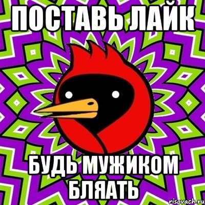 поставь лайк будь мужиком бляать, Мем Омская птица