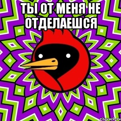 ТЫ ОТ МЕНЯ НЕ ОТДЕЛАЕШСЯ , Мем Омская птица