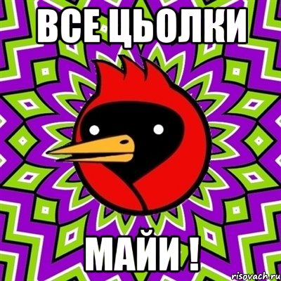 все цьолки майи !, Мем Омская птица