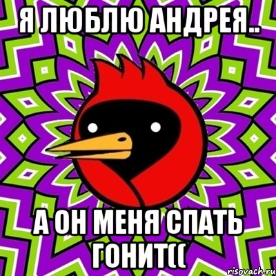 я Люблю Андрея.. а он меня спать гонит((, Мем Омская птица