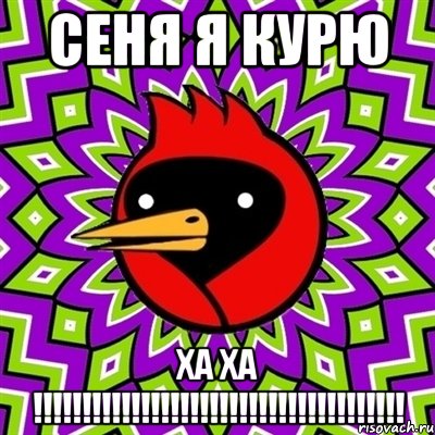 сеня я курю ха ха !!!!!!!!!!!!!!!!!!!!!!!!!!!!!!!!!!!!!!, Мем Омская птица