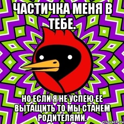 Частичка меня в тебе. Но если я не успею ее вытащить то мы станем родителями., Мем Омская птица