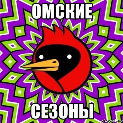 ОМСКИЕ СЕзоны, Мем Омская птица