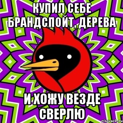 Купил себе брандспойт, дерева и хожу везде сверлю, Мем Омская птица