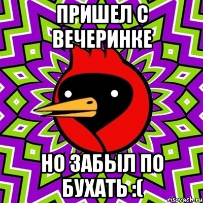 Пришел с вечеринке Но забыл по бухать :(, Мем Омская птица