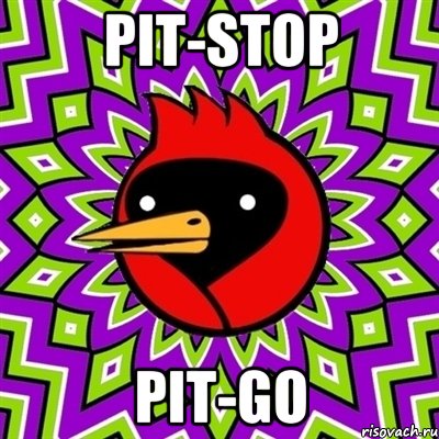 pit-stop pit-go, Мем Омская птица