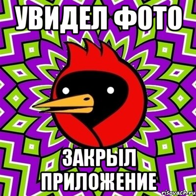 Увидел фото Закрыл приложение, Мем Омская птица