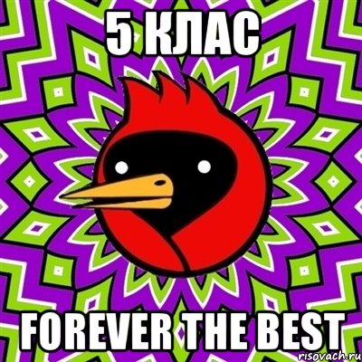 5 клас Forever The Best, Мем Омская птица