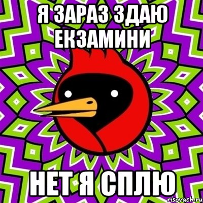 Я зараз здаю екзамини Нет я сплю, Мем Омская птица