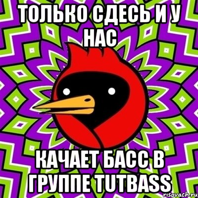 Только сдесь и у нас КАЧАЕТ БАСС В ГРУППЕ TUTBASS, Мем Омская птица