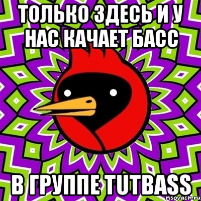 Только здесь и у нас КАЧАЕТ БАСС В ГРУППЕ TUTBASS, Мем Омская птица