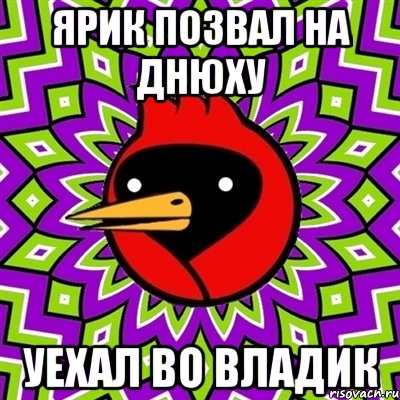 Ярик позвал на днюху Уехал во Владик, Мем Омская птица