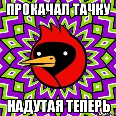 ПРОКАЧАЛ ТАЧКУ НАДУТАЯ ТЕПЕРЬ, Мем Омская птица