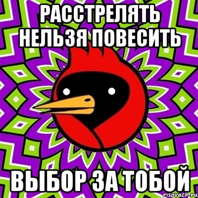 Расстрелять нельзя повесить Выбор за тобой, Мем Омская птица