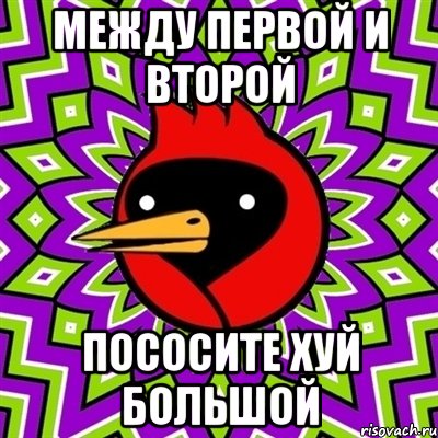 Между первой и второй Пососите хуй большой, Мем Омская птица