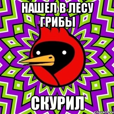 Нашел в лесу грибы Скурил, Мем Омская птица