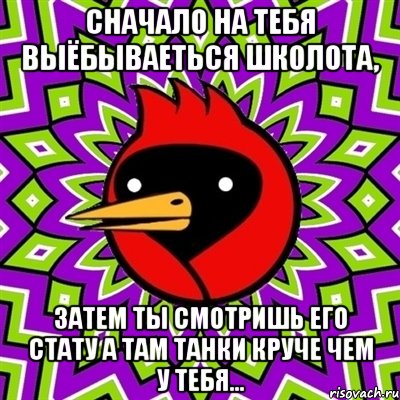 Сначало на тебя выёбываеться школота, затем ты смотришь его стату а там танки круче чем у тебя..., Мем Омская птица