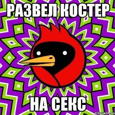 Развел костер на секс, Мем Омская птица