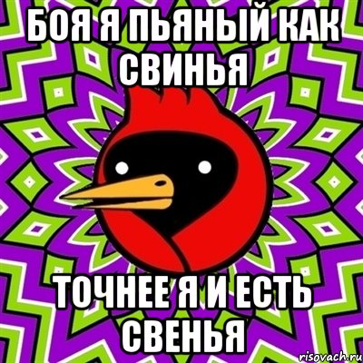 Боя я пьяный как свинья Точнее я и есть свенья, Мем Омская птица