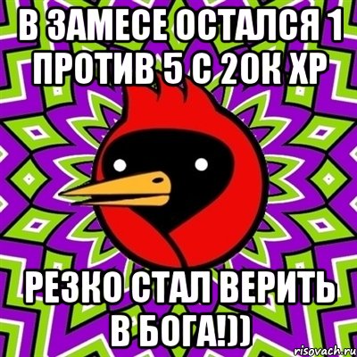 В замесе остался 1 против 5 с 20к ХР Резко стал верить в Бога!)), Мем Омская птица