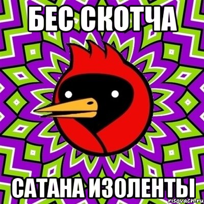 бес скотча сатана изоленты, Мем Омская птица
