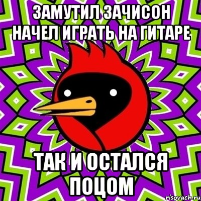 Замутил зачисон начел играть на гитаре так и остался поцом, Мем Омская птица