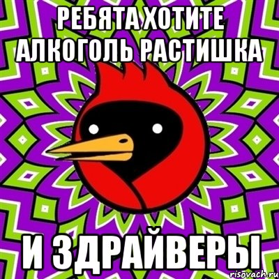 ребята хотите алкоголь растишка и здрайверы, Мем Омская птица