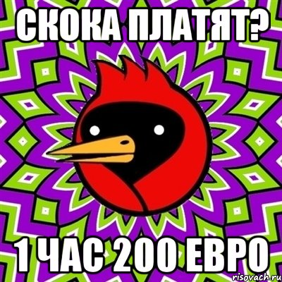 Скока платят? 1 час 200 евро, Мем Омская птица
