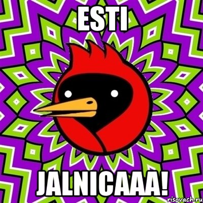 ESTI JALNICAAA!, Мем Омская птица