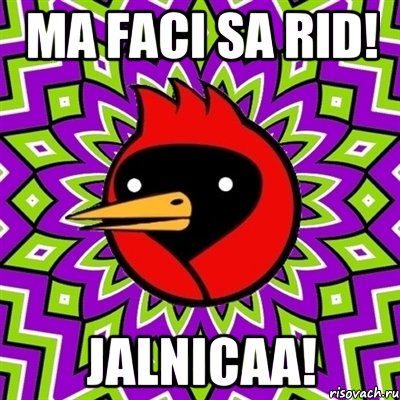 MA FACI SA RID! JALNICAA!, Мем Омская птица