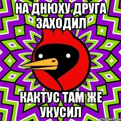 На днюху друга заходил Кактус там же укусил, Мем Омская птица