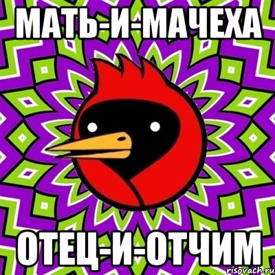 мать-и-мачеха отец-и-отчим, Мем Омская птица