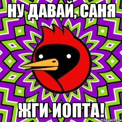Ну давай, Саня ЖГИ ИОПТА!, Мем Омская птица
