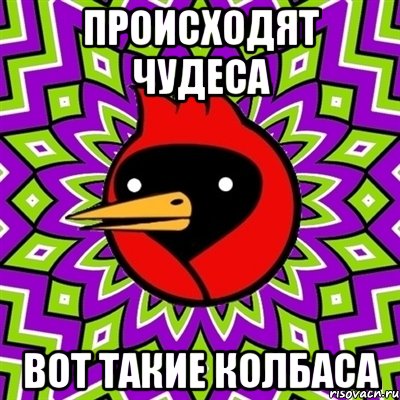 Происходят Чудеса Вот такие колбаса, Мем Омская птица