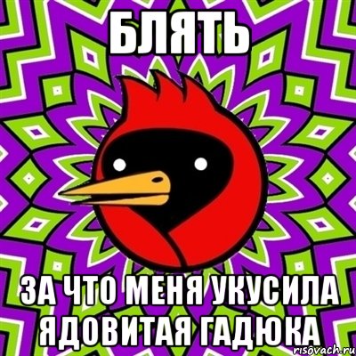 Блять За что меня укусила Ядовитая гадюка, Мем Омская птица