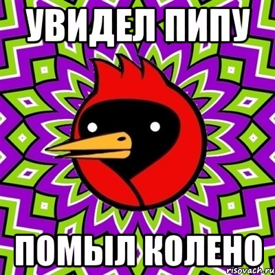 Увидел Пипу Помыл Колено, Мем Омская птица