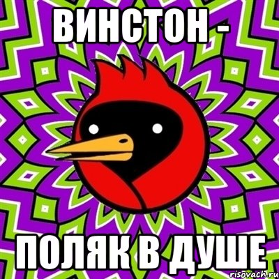 Винстон - поляк в душе, Мем Омская птица