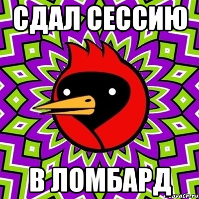 Сдал сессию в ломбард, Мем Омская птица